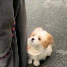 瓜瓜的运营小室