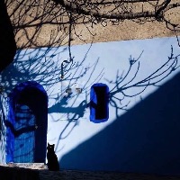 绾晏|自由波长